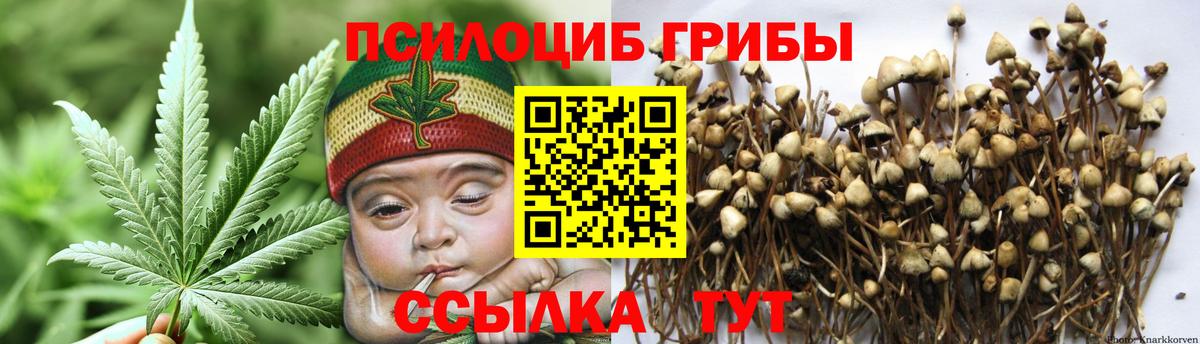 Галлюциногенные грибы мицелий  Псилоцибиновые грибы ЛСД  Вход с VPN  Изобильный 